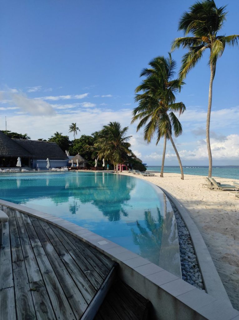serene beachfront pool at ifuru island resort